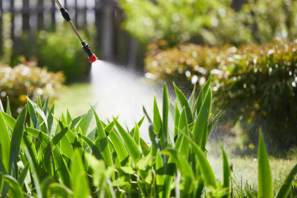 Tamper-Resistant Bait Stations for Rodents in Crothersville