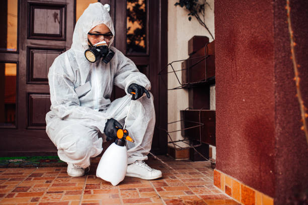 Attic and Crawl Space Rodent Treatment in Crothersville