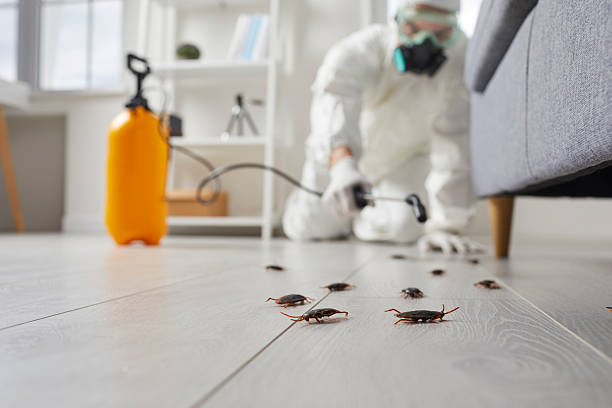 Commercial Rodent Management in Crothersville